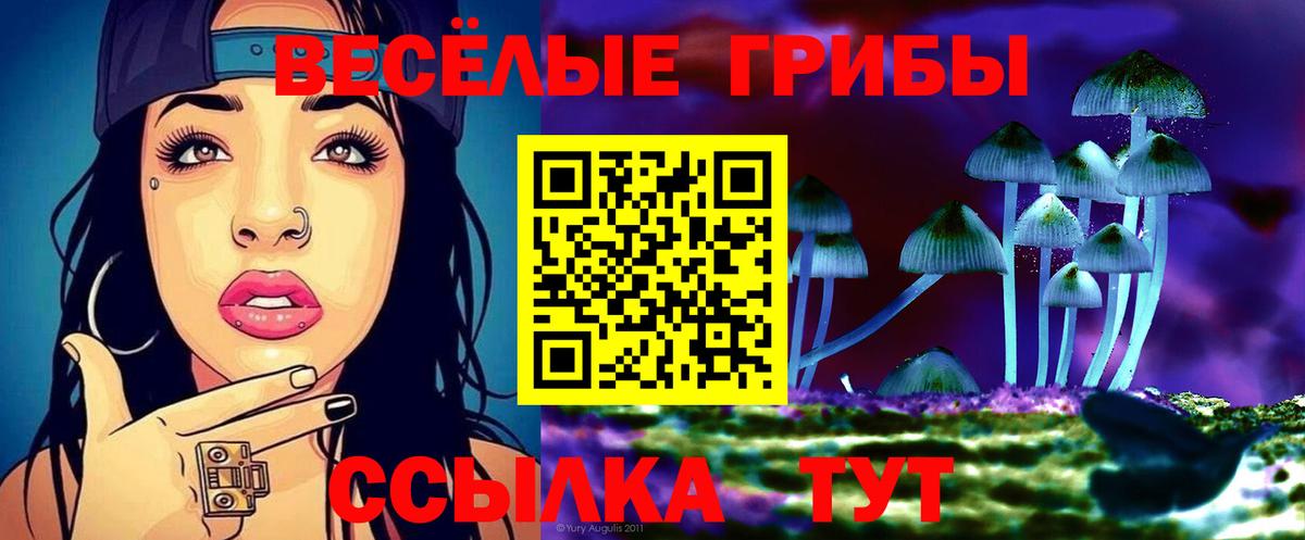 Рязань  Галлюциногенные грибы Psilocybe  Вход с VPN 