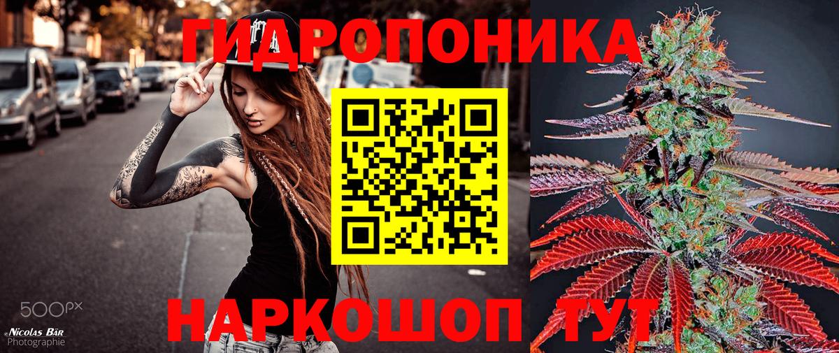 Бошки Шишки Amnesia Рязань